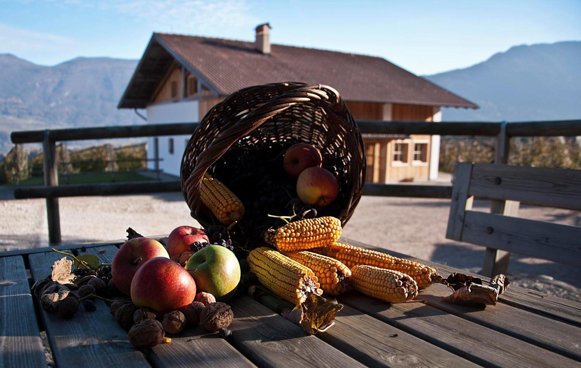 Agritur Maso Pra' Cavai B&B Balbido-rango Exterior foto